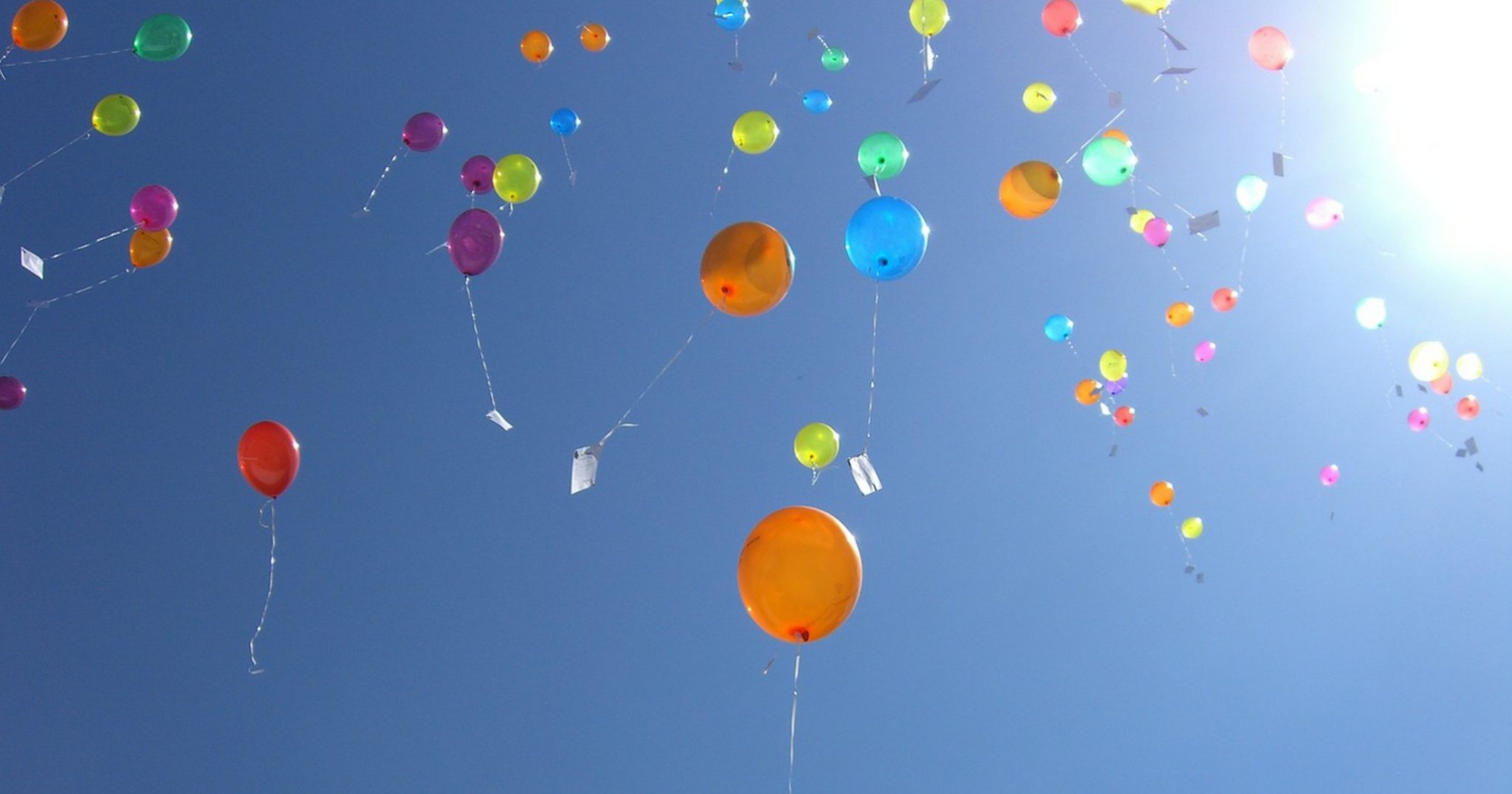 Польза шаров. Сдувшиеся воздушные шары. Воздушные шары убивают природу. Воздушные шары влияние на животных.
